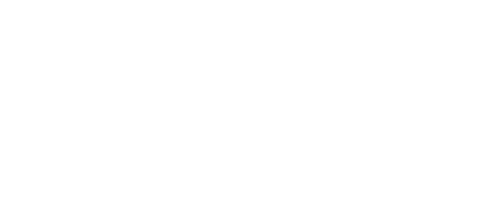 Logo Interactive Natives